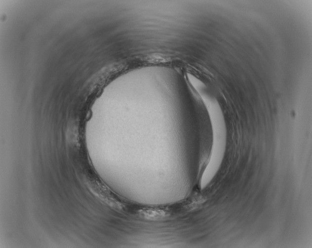 X0000086000512200704201835