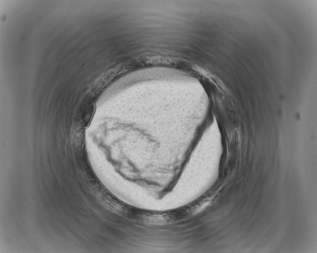 X0000086000513200704201835