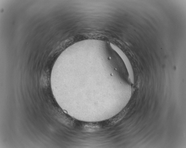 X0000086000515200704201834