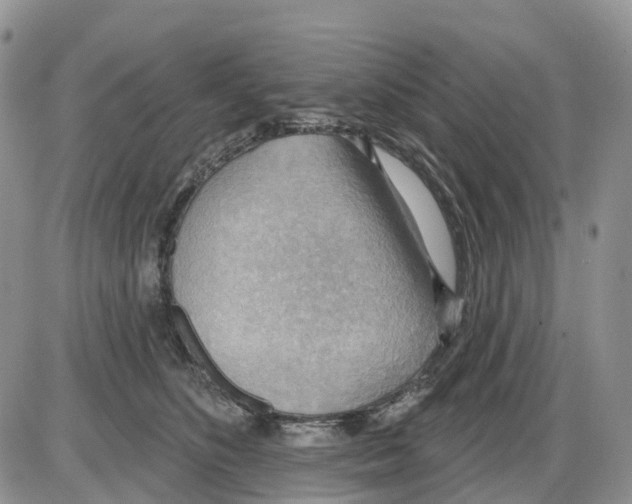 X0000086000516200704201834