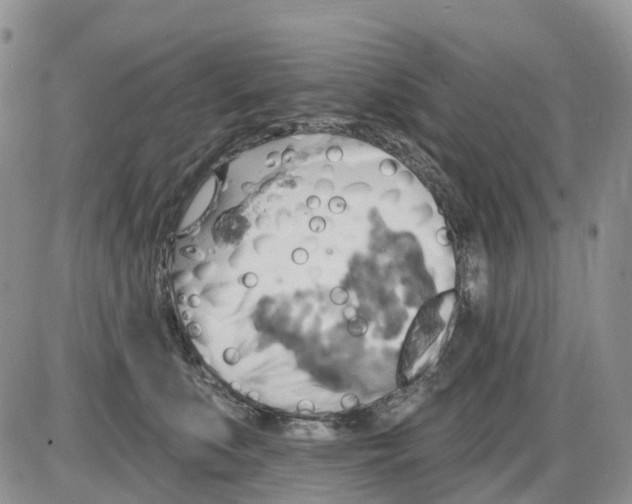 X0000086000519200704201834