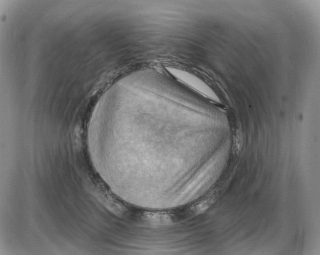 X0000086000520200704201834