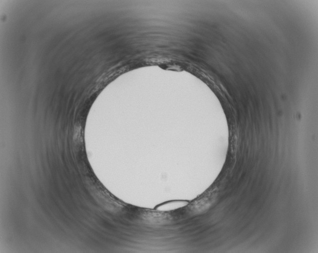 X0000086000521200704201834