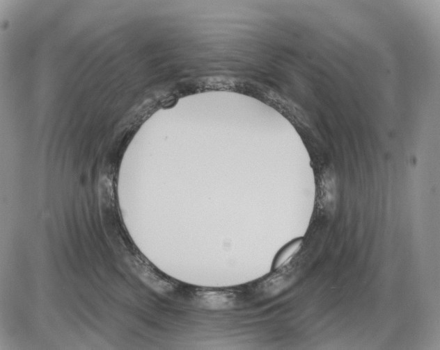 X0000086000522200704201834