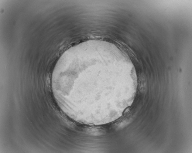 X0000086000523200704201834