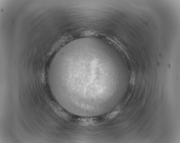 X0000086000524200704201834