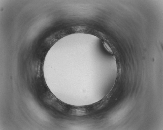 X0000086000525200704201834