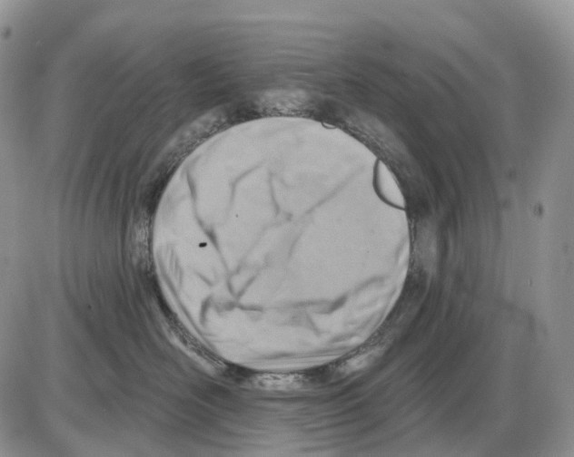 X0000086000526200704201834