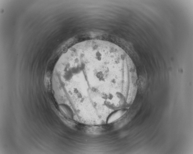 X0000086000527200704201834