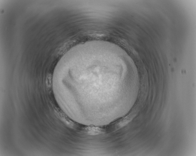 X0000086000528200704201834