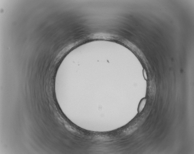 X0000086000529200704201833