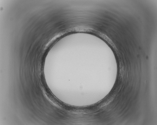 X0000086000530200704201834