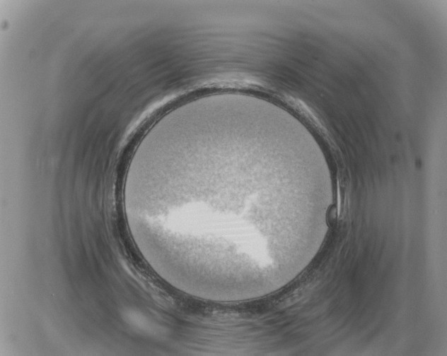 X0000086000531200704201834