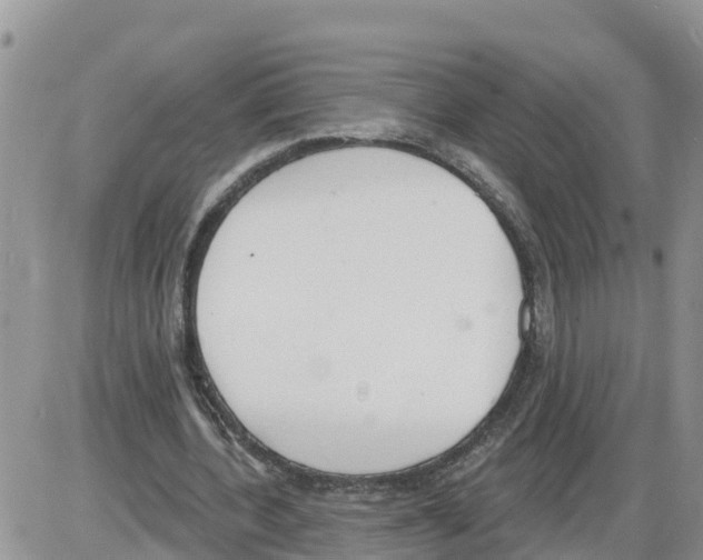 X0000086000532200704201834