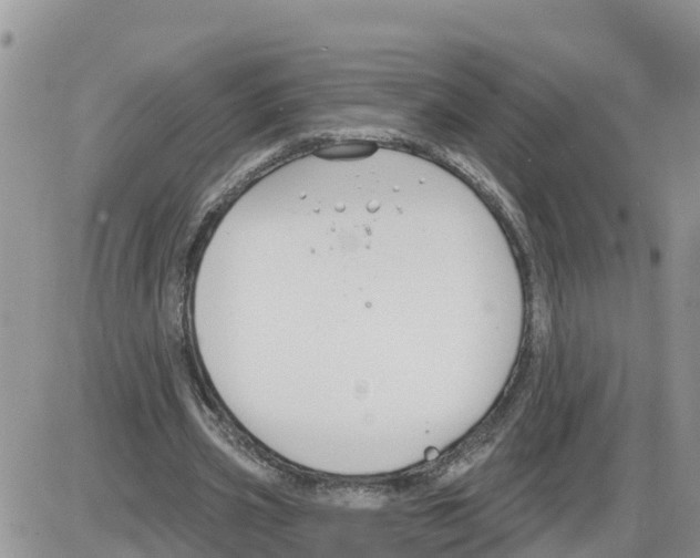 X0000086000533200704201834