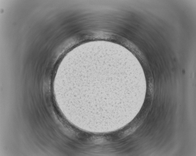 X0000086000534200704201834