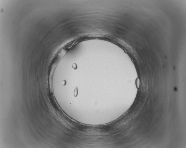 X0000086000535200704201834