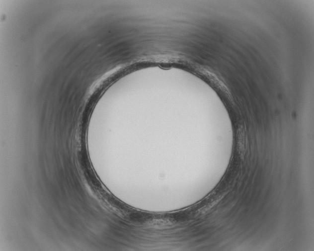 X0000086000536200704201834