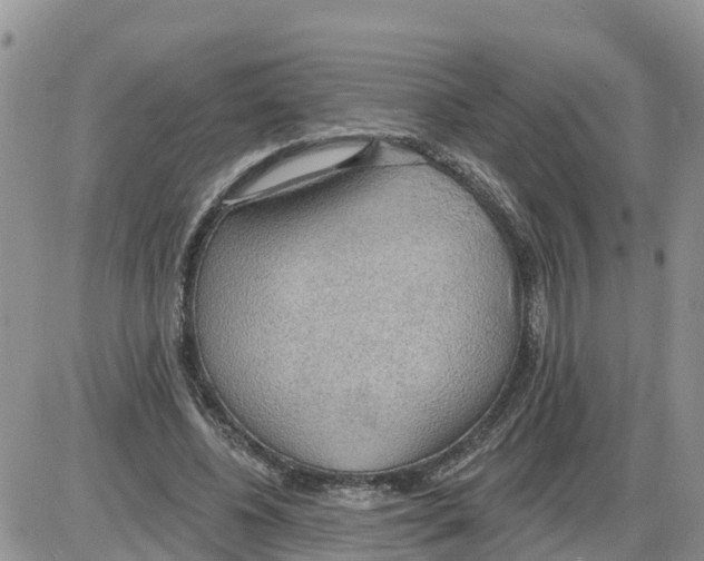 X0000086000540200704201834