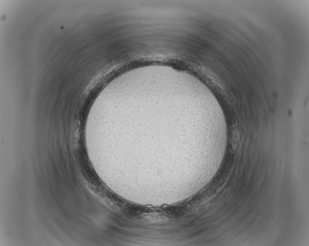 X0000086000544200704201834