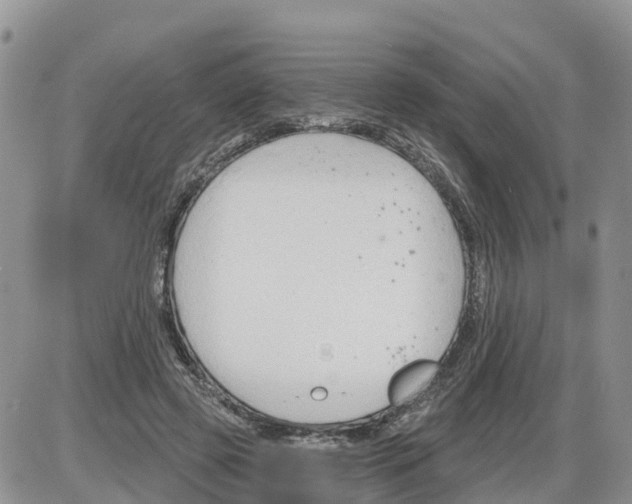 X0000086000545200704201834