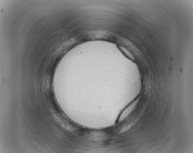 X0000086000546200704201834