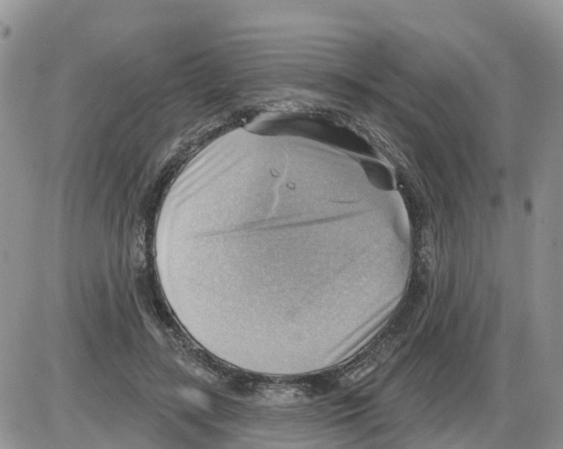 X0000086000547200704201834