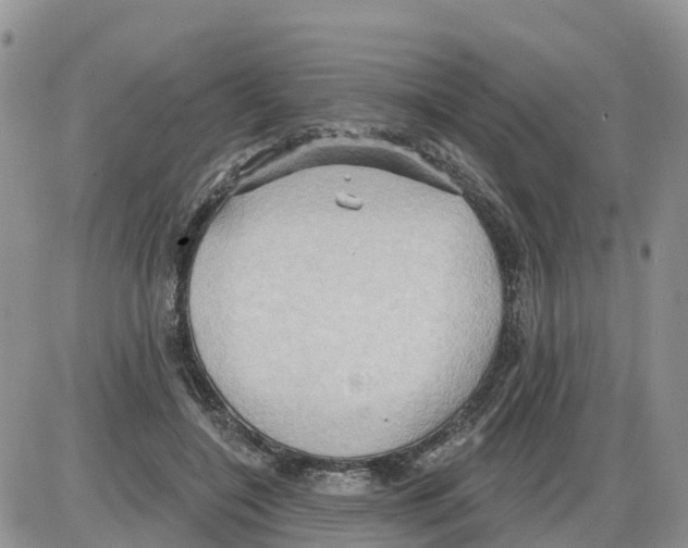 X0000086000548200704201834