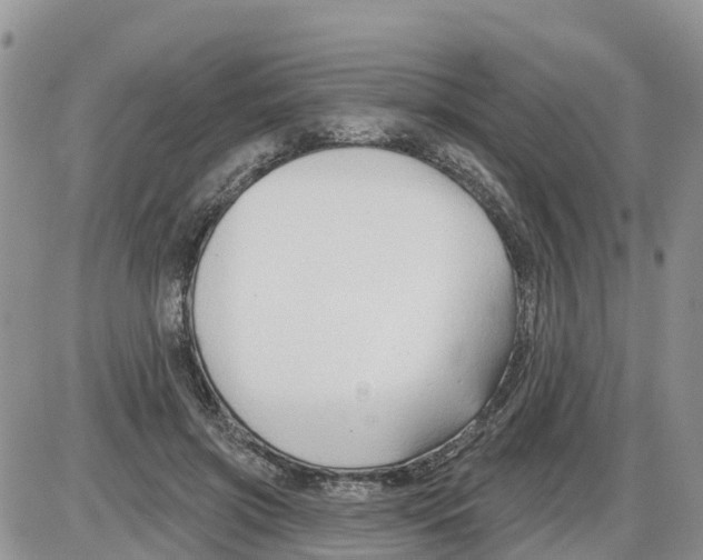 X0000086000549200704201834