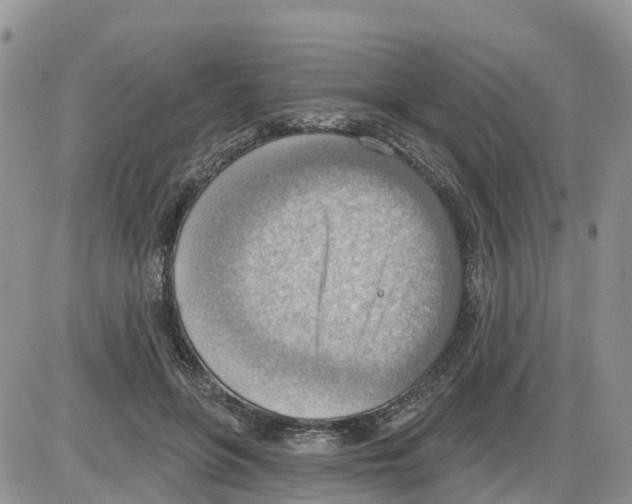 X0000086000551200704201834