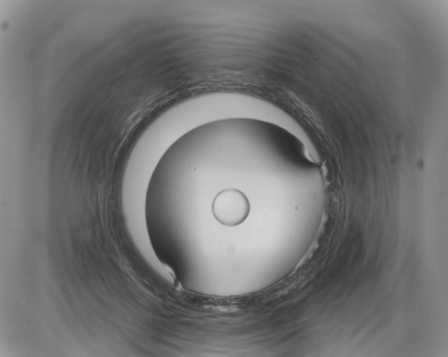 X0000086000552200704201834