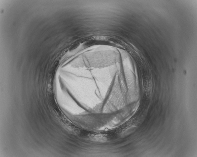 X0000086000553200704201834