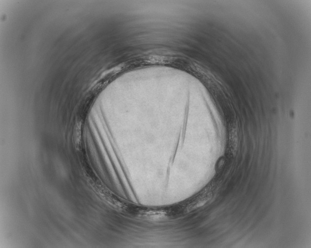 X0000086000554200704201834