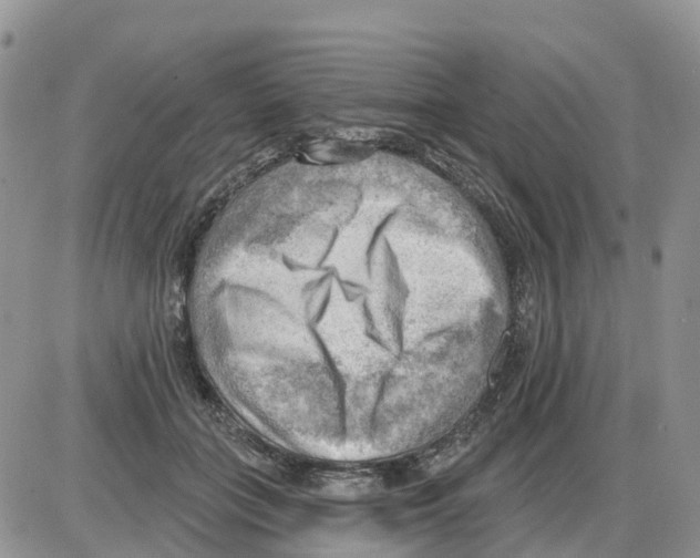 X0000086000555200704201834