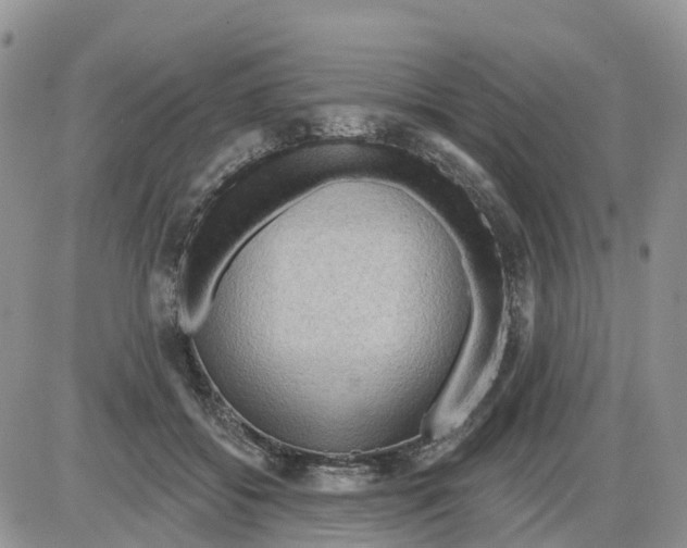 X0000086000556200704201834