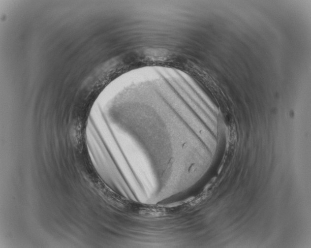 X0000086000559200704201834