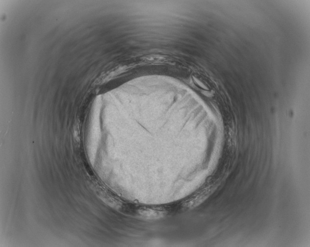 X0000086000561200704201834