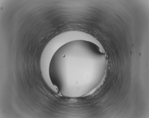 X0000086000562200704201834