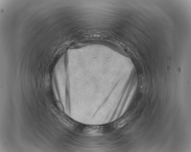 X0000086000563200704201834