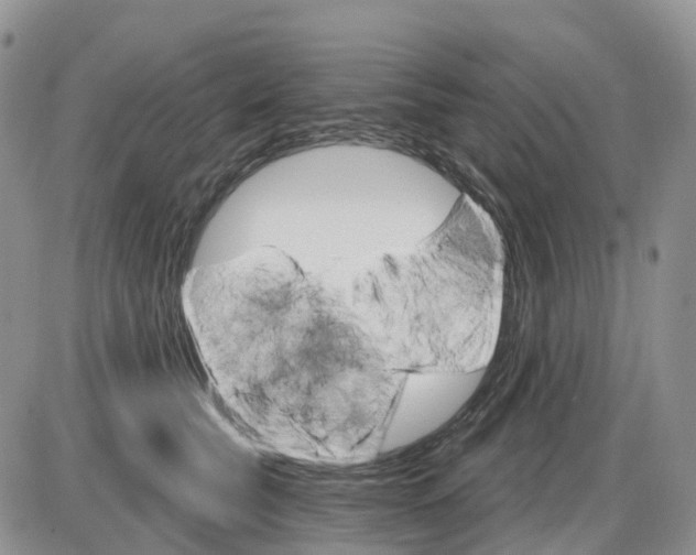 X0000086000565200704201834