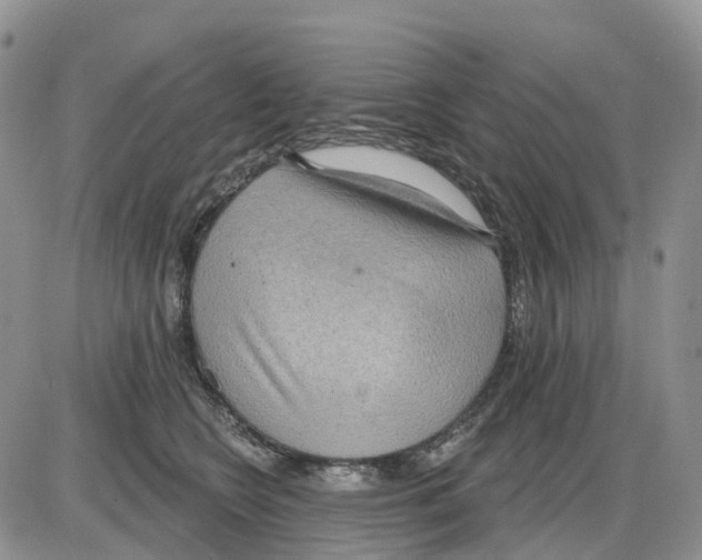 X0000086000566200704201834