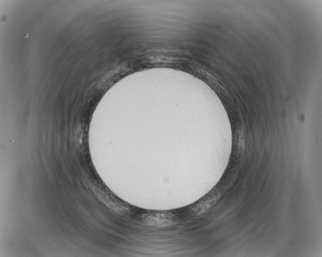 X0000086000567200704201834