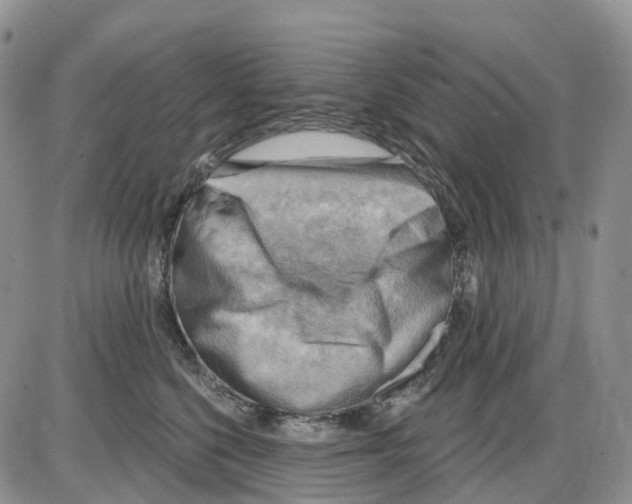 X0000086000568200704201834