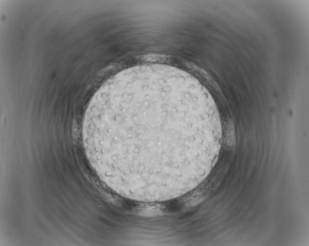 X0000086000569200704201834