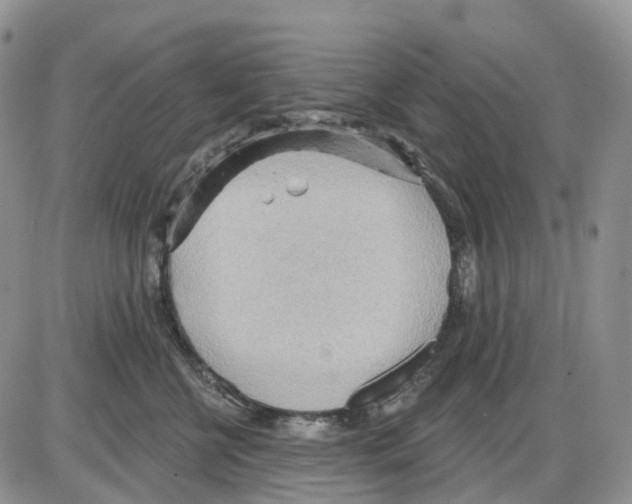 X0000086000570200704201834