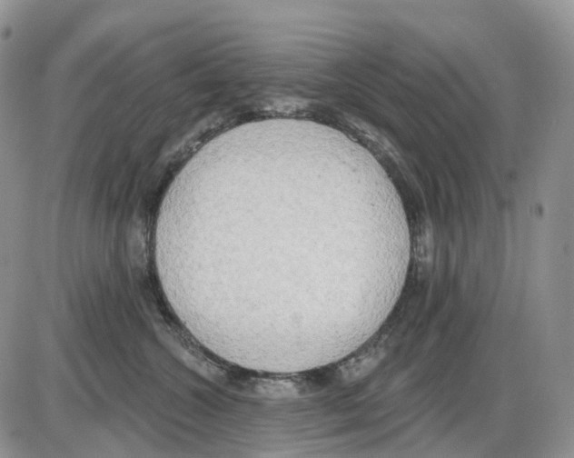 X0000086000572200704201834