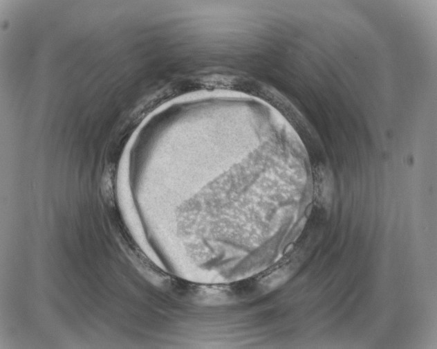 X0000086000573200704201834