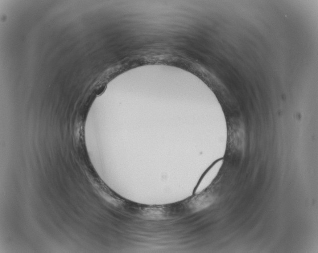 X0000086000574200704201834