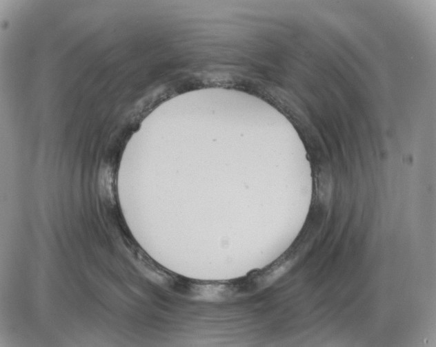 X0000086000575200704201834