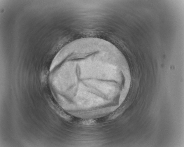 X0000086000576200704201834